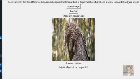 Big Cat Classifier | fastai Project Lesson 1 | Deployed in Python Tkinter | Deep Learning