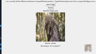 Big Cat Classifier | fastai Project Lesson 1 | Deployed in Python Tkinter | Deep Learning