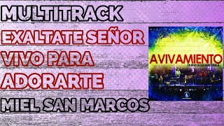 Video thumbnail of "Multitrack 《EXALTATE SEÑOR - VIVO PARA ADORARTE》  Miel San Marcos"