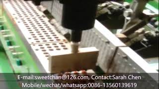 Celebrity Pu ear plug manufacturing machine Wealth