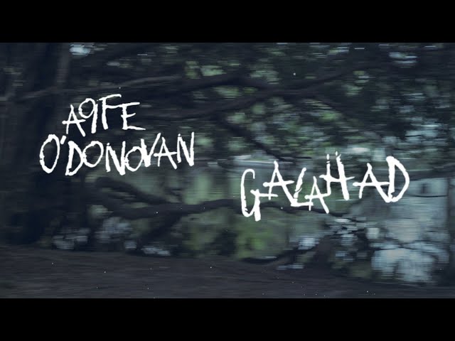Aoife O'Donovan - Galahad