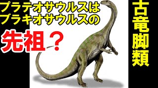 Slow Commentary] The Evolutionary History of Plateosaurus and