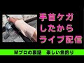 【全ての質問に答える生配信】第16回シーバス　マゴチ　チヌ　BlueBlue ルアー　おすすめ　2024 　　　リール　ロッド　ルアー