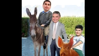 Bitaraplyk Statusy Nirä Ýok Etdiň