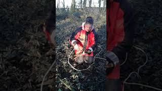 Forest school unit 2 knots