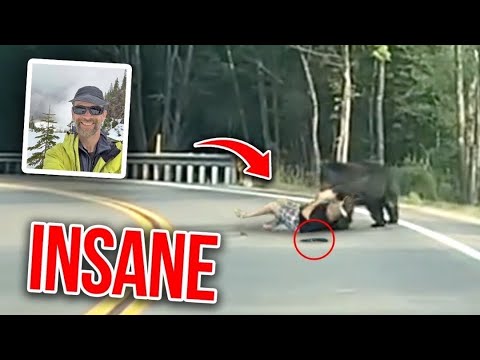 This Grizzly Bear Drags Colin Dowler Off His Bike And Starts Eating Him Alive