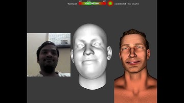 Real-Time Markerless Facial Motion Capture