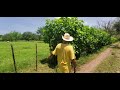 Don Pancho Nos Enseño Bonitos Terrenos En El Salvador