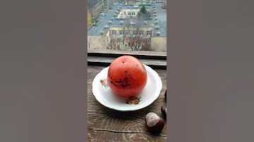 Хурма или королёк?