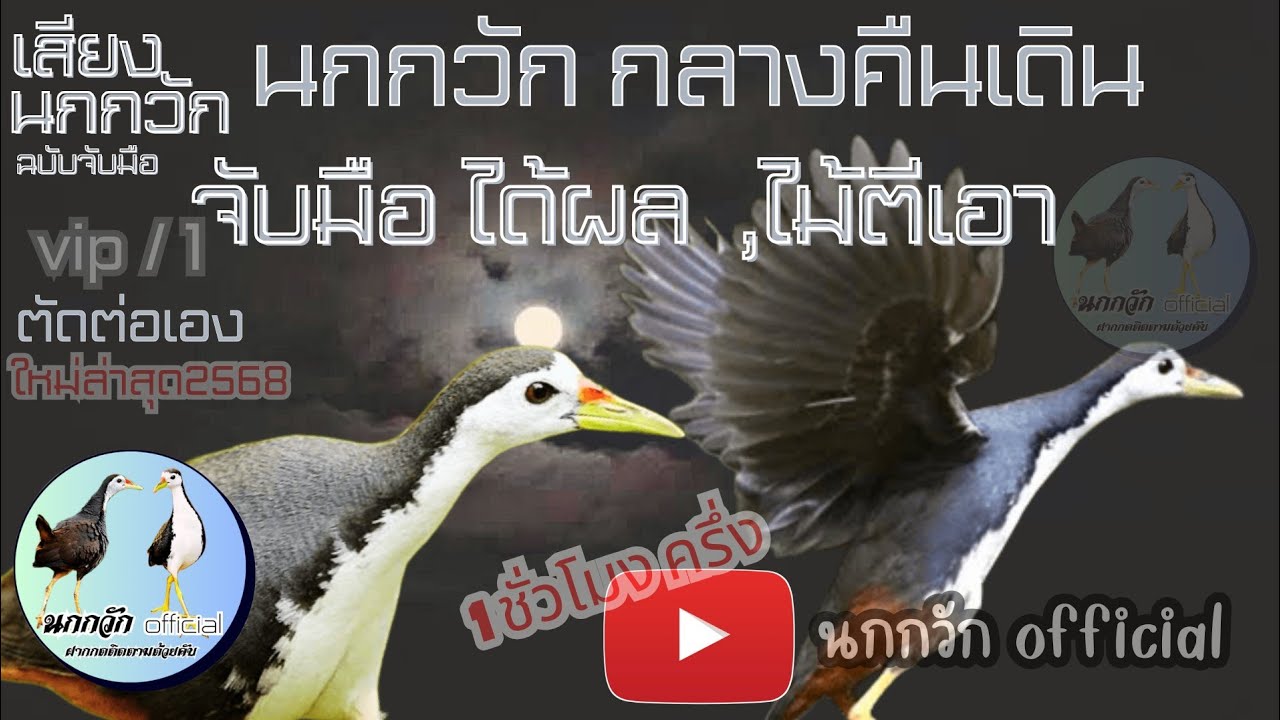 เสียงนกกวักกลางคืน ฉบับจับมือ เท่านั้น 1ชั่วโมงครึ่ง ได้ผลเเน่นอน vip / 1