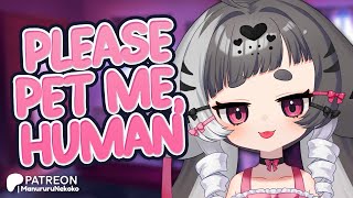 Needy Catgirl Wants Your Attention Asmr Rp F4M