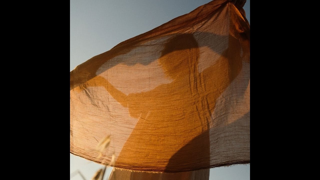 (FREE) Wallace Cleaver Type Beat - ‘pourquoi pas après tout’