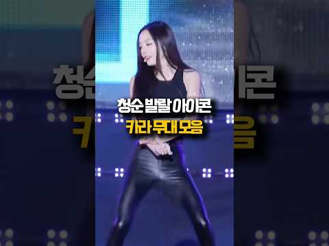 청순 발랄 아이콘 카라 무대 모음