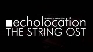 The String OST - echolocation