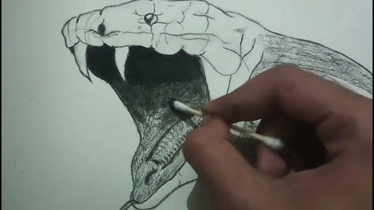 How to draw cobra 🐍