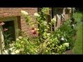 Side Ideas Landscape Yard Small