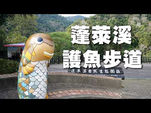 苗栗南庄蓬萊溪護魚步道,看魚仔在那游來游去,約1.6K一路健行到七星宮!