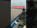 Dikira Udang galah ternyata.....