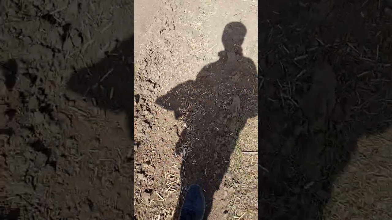 Прогулка по диким и не очень местам