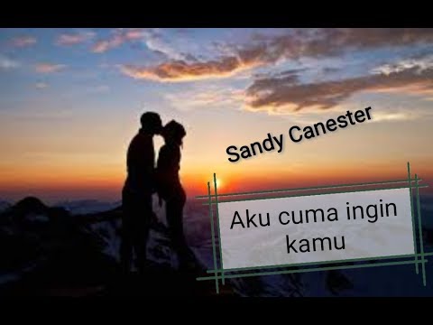 Sandy canester \