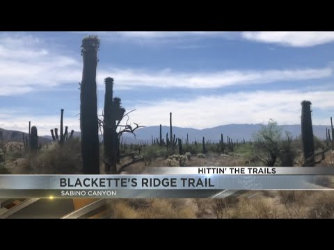 Hittin The Trails 4 You Blackette S Ridge Trail 
