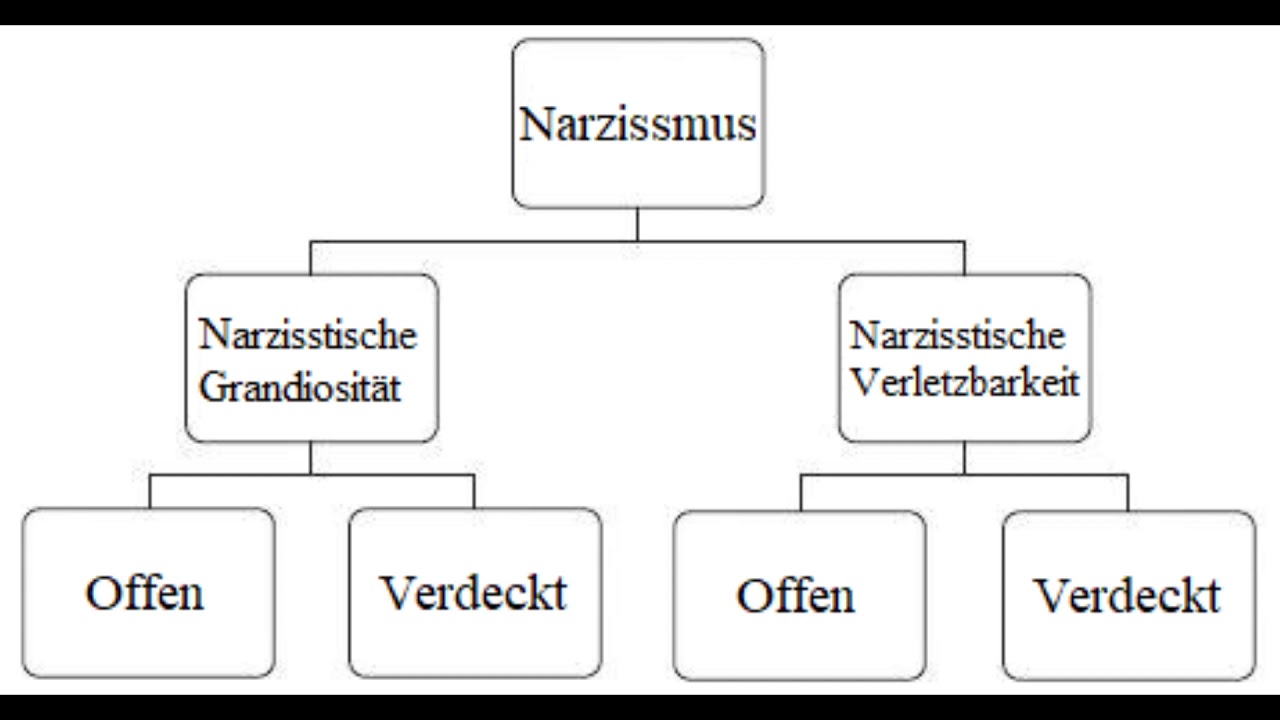 Welche Arten Von Narzissten Gibt Es www.youtube.com