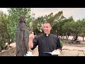 June 29 2025 Solemnity Of Saints Peter And Paul June 29 2025 Solemnity Of Saints Peter And Paul