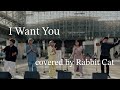 "I Want You" covered by Rabbit Cat #rabbitcat #ラビキャ #アカペラ