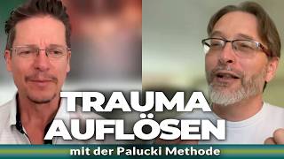 Psychotherapeut Christian Sekot über die Palucki Methode in der Praxis *gekürzte Version