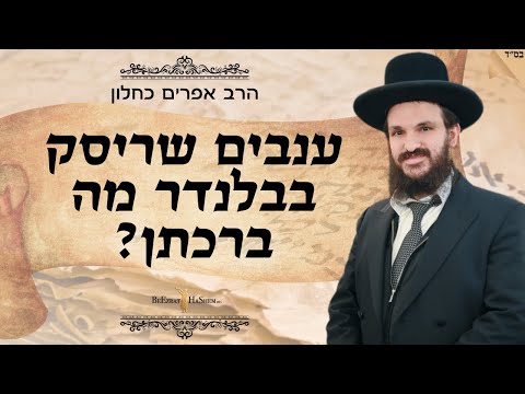 ענבים שריסק בבלנדר מה ברכתן?