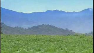 Thailand - Thai Cuisine and Tastes