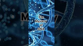Famous The Mystery of DNA, God's biometric code in every cell of our bodies, by Dr Richard Kent #dna #God Profile
