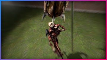 What If The Animations In Gmod Were Better? | Garry