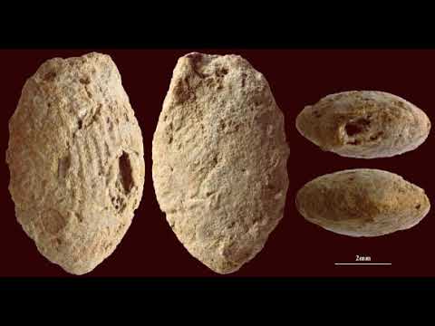 Глина до землеробства: Дитячі відбитки розкривають світанок символічного мислення