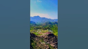 تلاوة خاشعة قرأن كريم تخشع له القلوب #elmulquranعلم #قران_كريم #تلاوة #المصحف #اكسبلور #لايك #trend