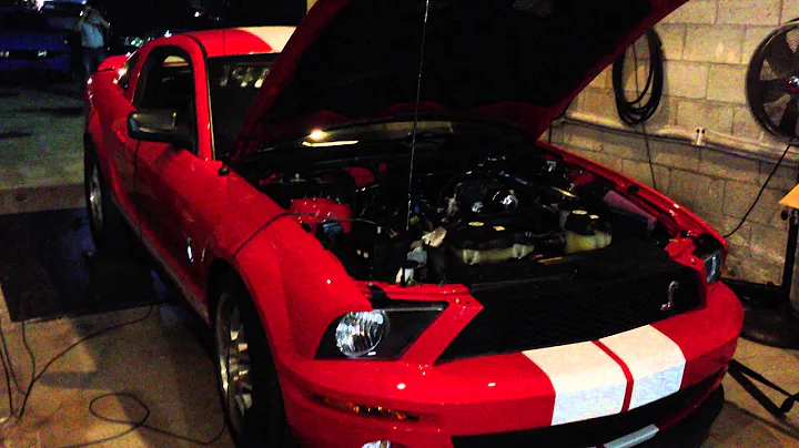 Shelby Dyno Run