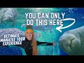 Swim With Florida Manatees | Crystal River FL