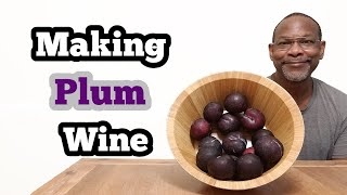 Making Plum Wine: 1 Gallon