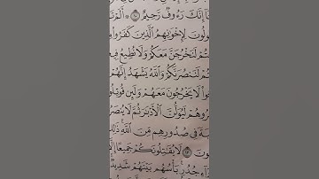 سورة الحشر آية 11