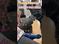 Funny Cat Compilation#foryou #funny #cat #funnyvideo #fyp #comedy #mischief
