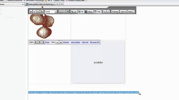 How to format the text in your wiki