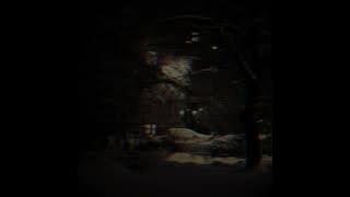 вчера я видел сон, очень старый сон... 💤