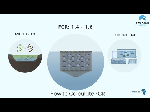 Food Conversion Rate