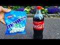 EXPERIMENT [ COCA-COLA AND MENTOS ]