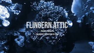 Flingern Attic - You Need The Drugs (Westbam Cover)