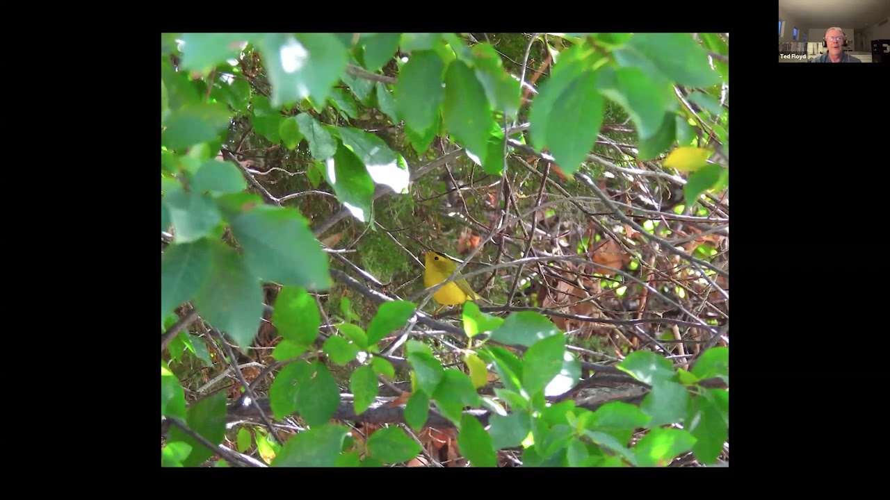 DFO Presents: The State of Birding, Version 2024.9 (SEP 2024)