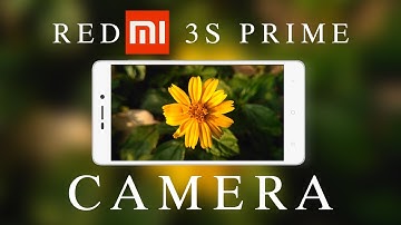 Redmi 3S Prime Camera Photos & Videos Samples