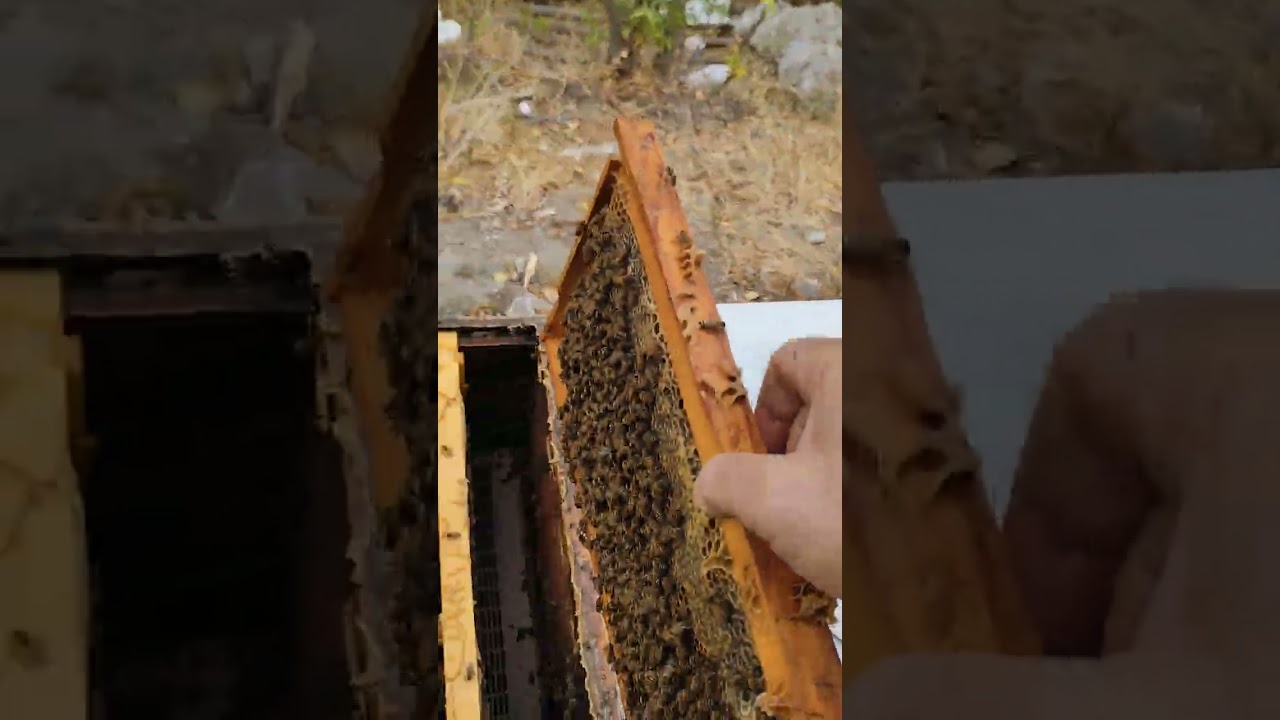 Benim Kışlık Stoklar Böyle Olur 