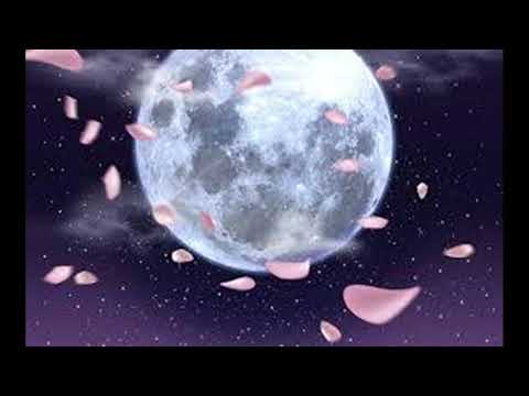 『最後の恋』　 奥華子