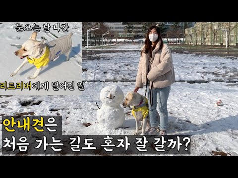This is my first time here...🐶 Hayani's Vlog: Walking and Running Well Even in the Snow | How to ...